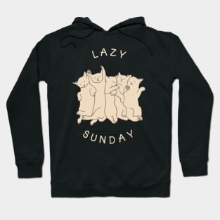 Lazy Sunday - Sleeping Cat Hoodie